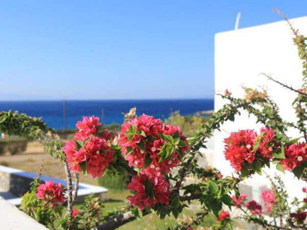 PAROS SEA VIEW APARTMENTS GALLERY 021