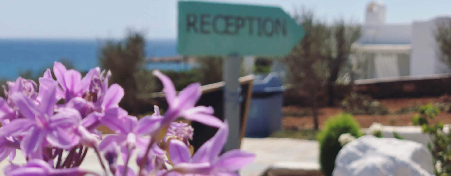 PAROS SEA VIEW APARTMENTS Slide-4